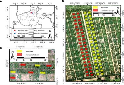 A novel method for maize leaf disease classification using the RGB-D post-segmentation image data